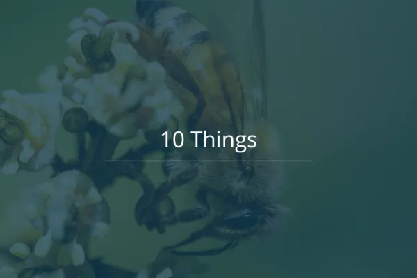 10 Things 20260713