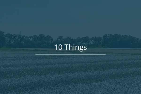 10 Things 20260727