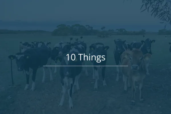 10 Things 20260817