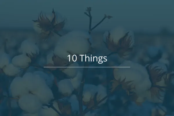 10 Things 20261006