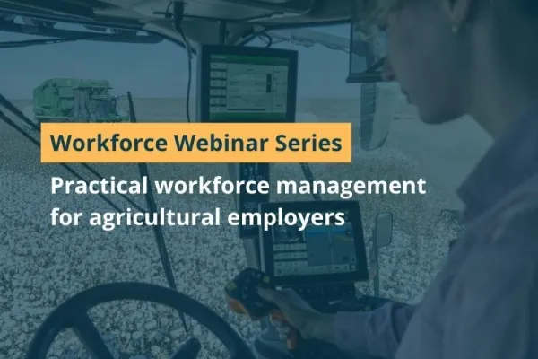Workforce Webinar Series Marketing