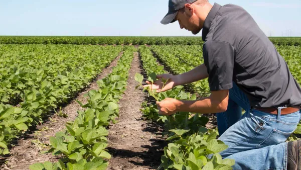 QFF Home Image Project