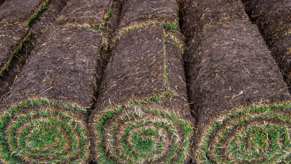 Rolls of turf