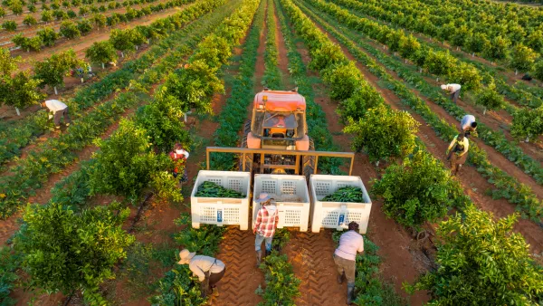 Workforce and skills 1