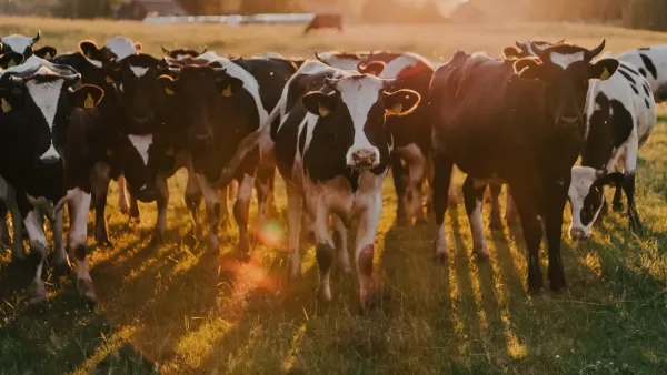 Farm viability and food security feature