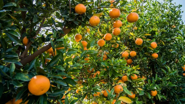 Water efficiency project 1