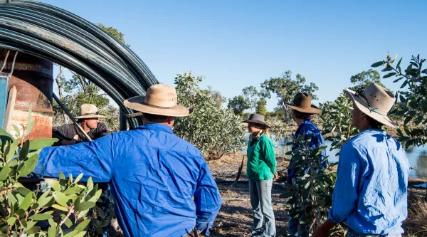 Water efficiency project 2