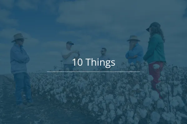 10 Things 19 January 2026