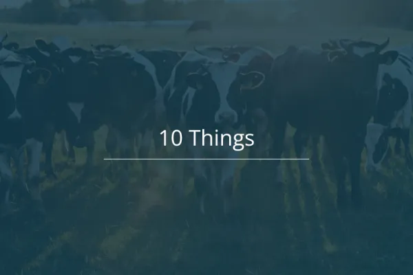 10 Things 27 January 2026