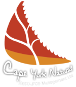 cynrm_logo-blshad