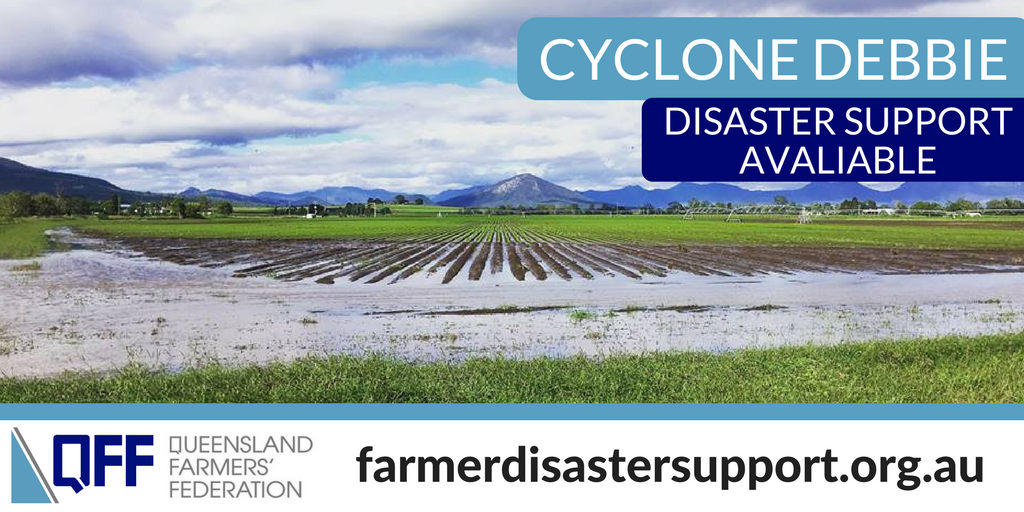 Cyclone debbie 2