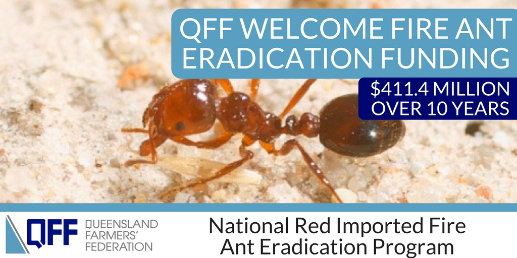 Fire ant QFF