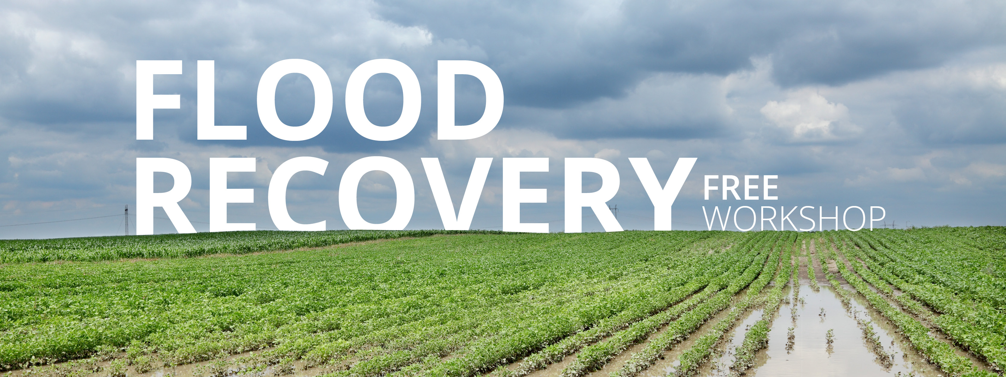 Flood Recovery Workshop Feature Image
