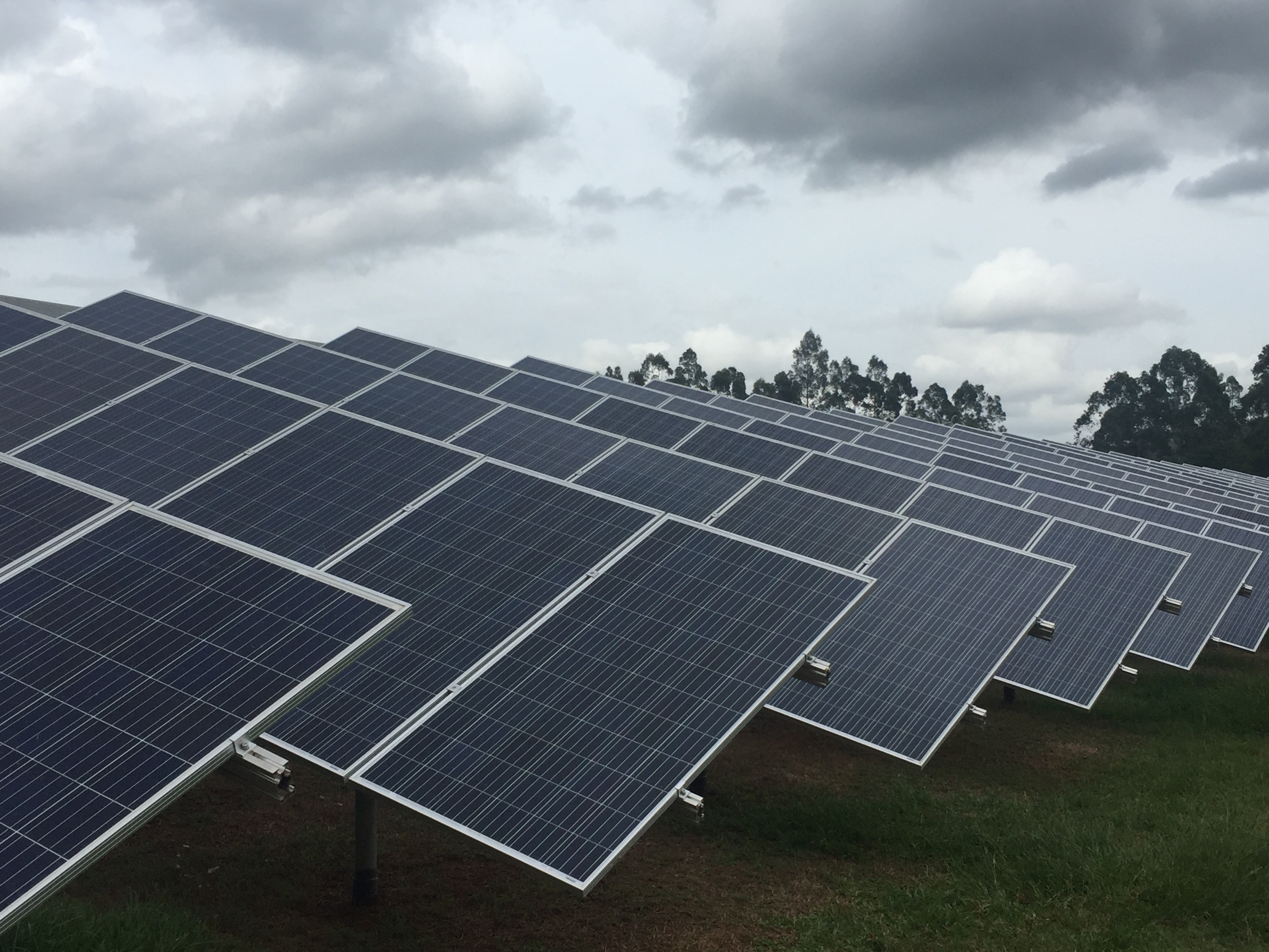 Redcliffe Chicken Farm Wamuran SolarPV